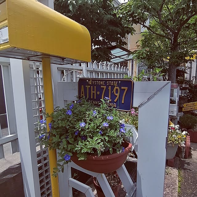 terurin0202さんの実例写真