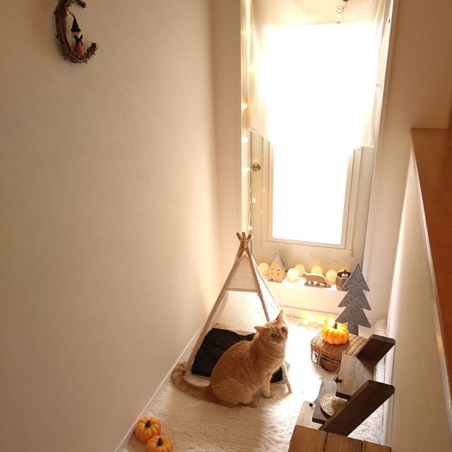 mayutan.さんの実例写真