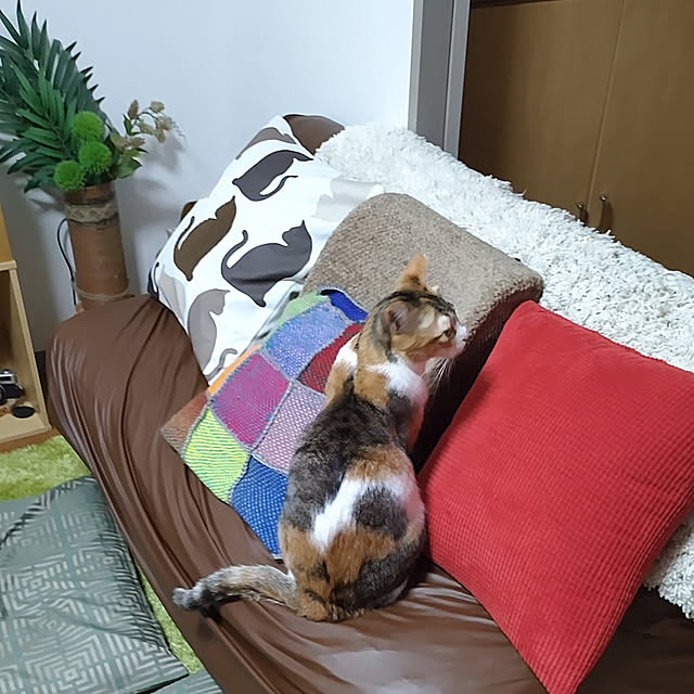 seisei0611さんの実例写真