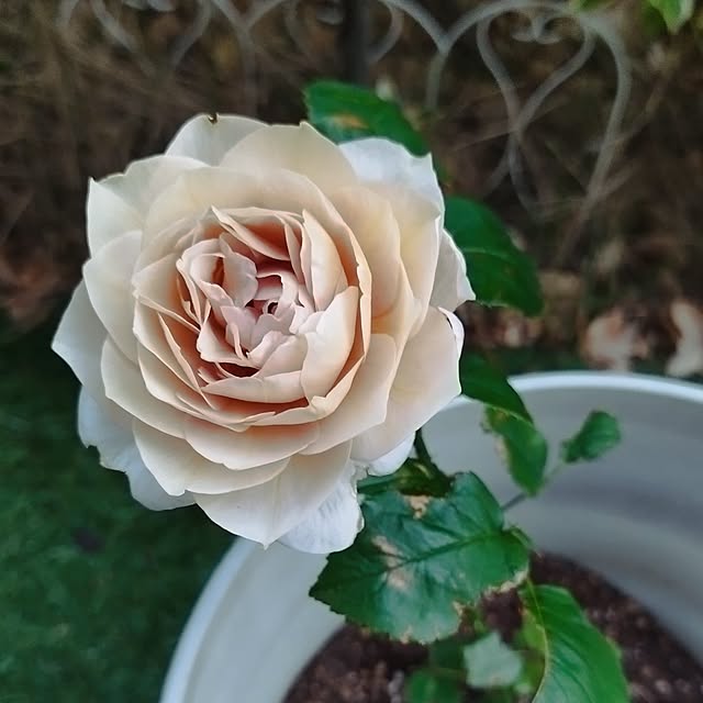 hiromimiさんの部屋