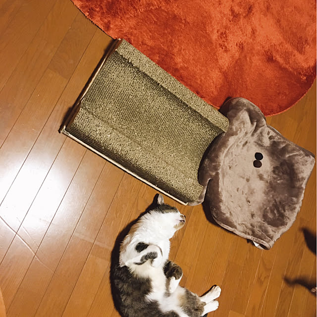 mame-minさんの実例写真
