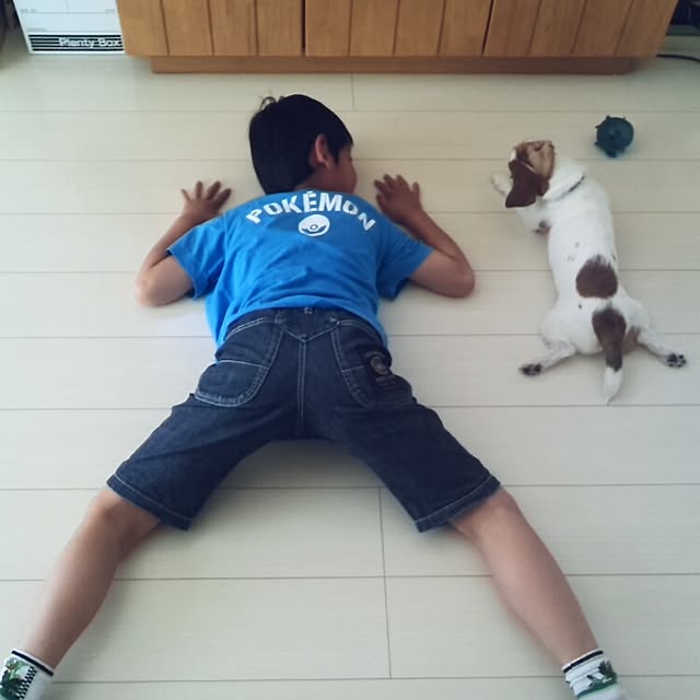 mintさんの実例写真