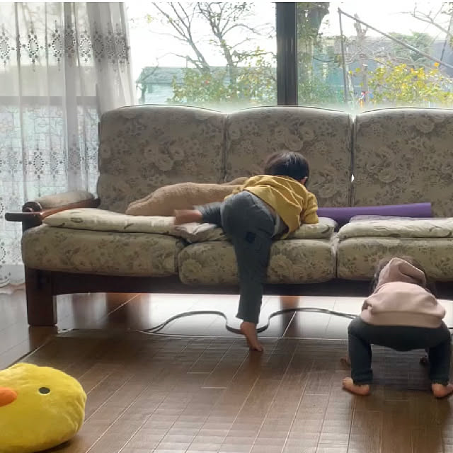 porpeさんの実例写真