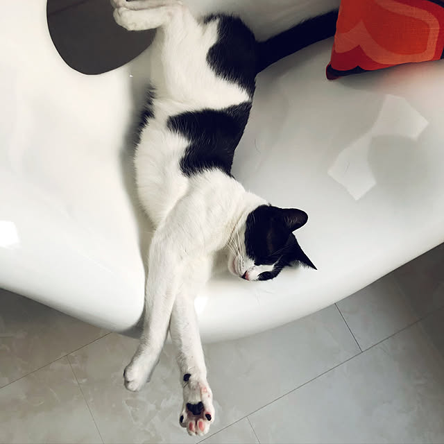 nonさんの実例写真