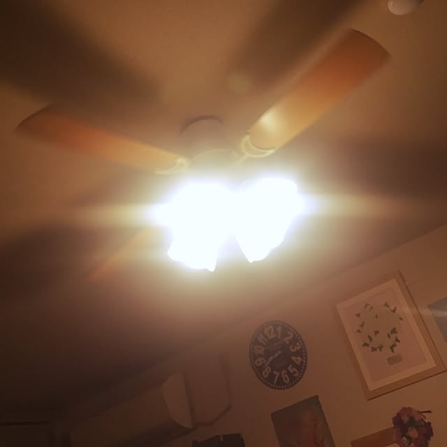 Risaさんの実例写真