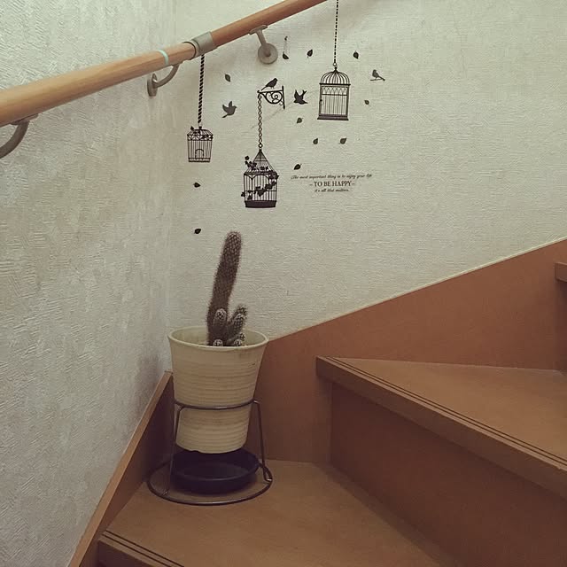 Mikaさんの実例写真