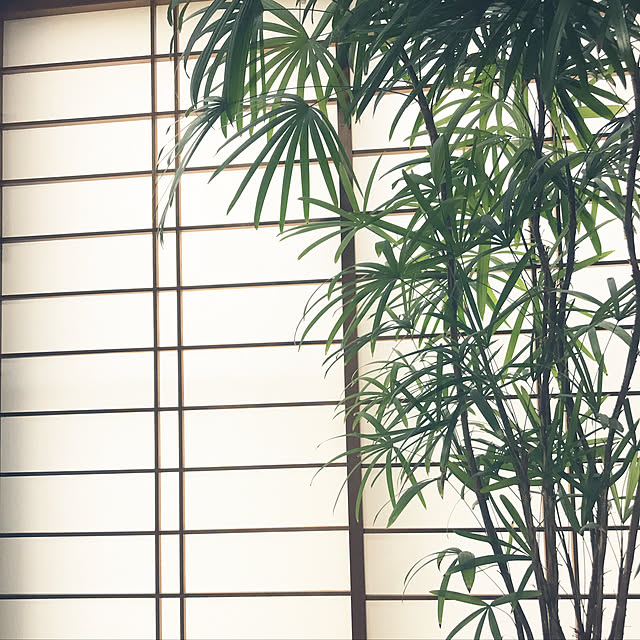 waraihiroさんの実例写真