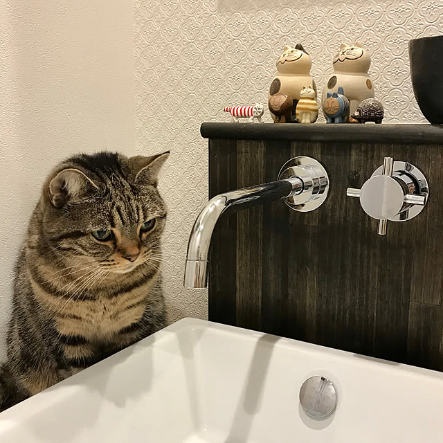 kaedeさんの実例写真