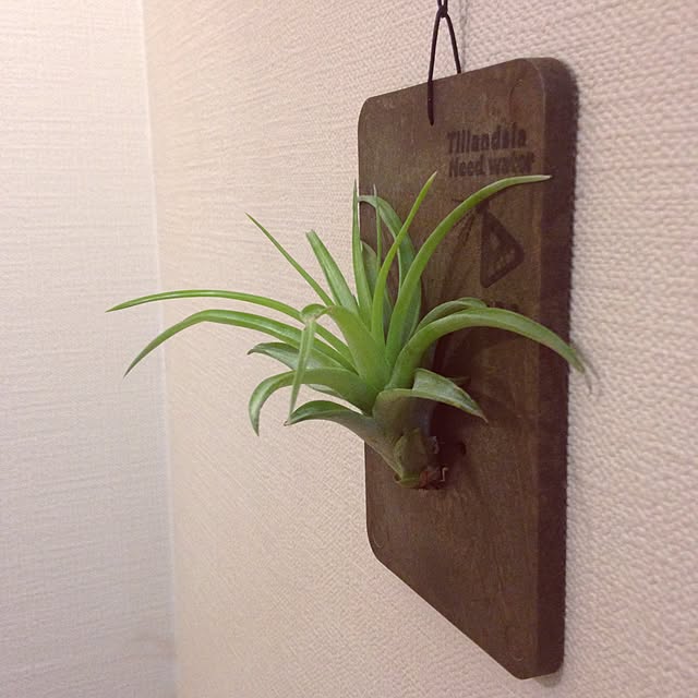 nozomiyaさんの実例写真