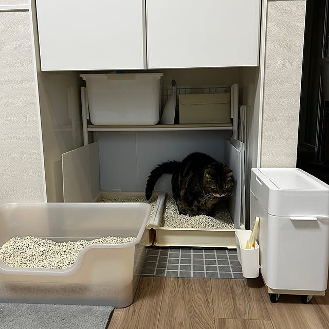 mikomaruさんの部屋