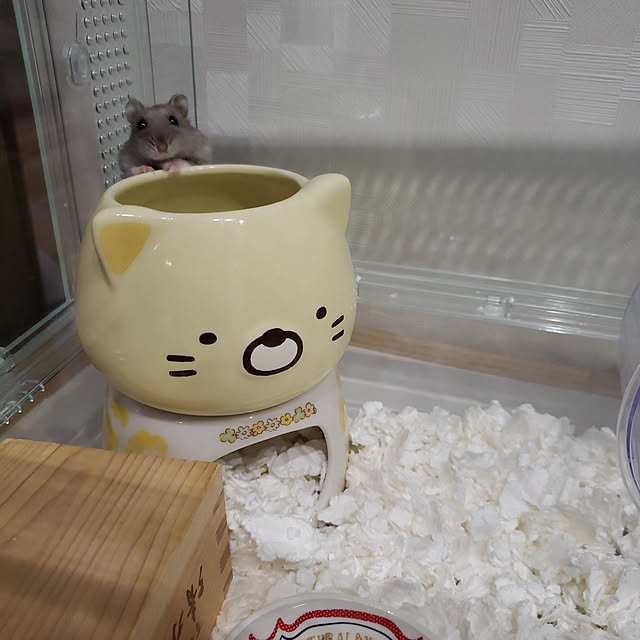 BAZさんの実例写真