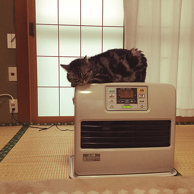 richanさんの実例写真