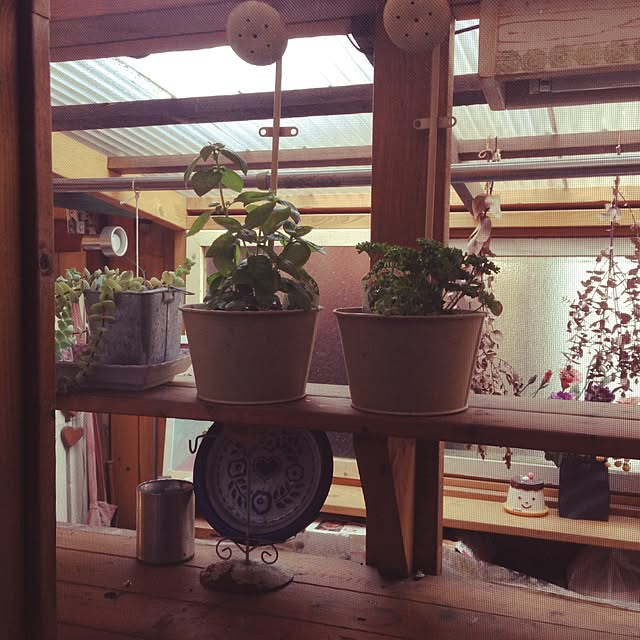 popoさんの実例写真