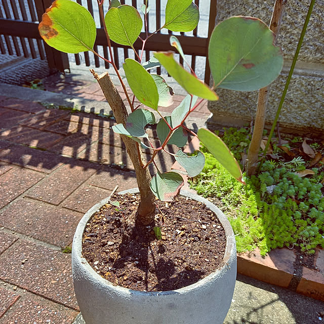 rhuさんの実例写真