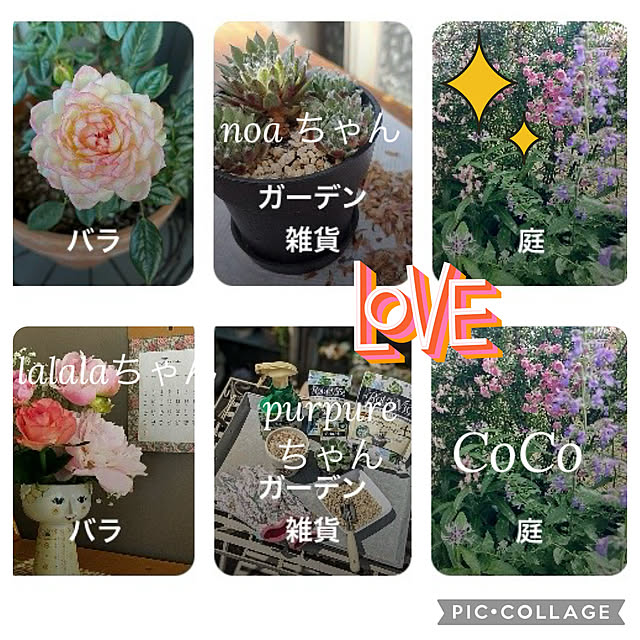 CoCo0617さんの実例写真