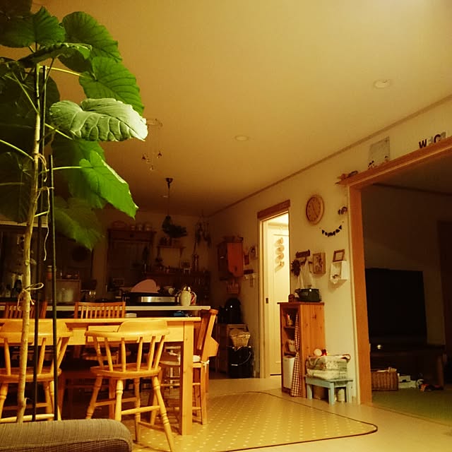 cloverさんの実例写真
