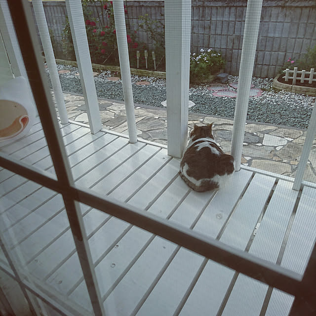 machikomamaさんの実例写真