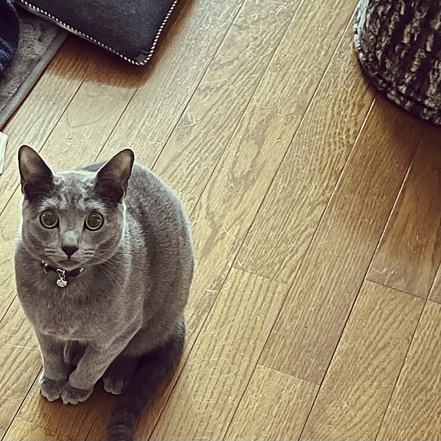kyonさんの実例写真
