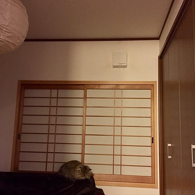 butachanさんの実例写真