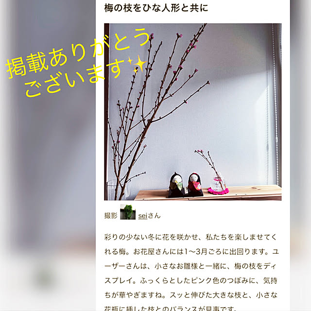seiさんの実例写真
