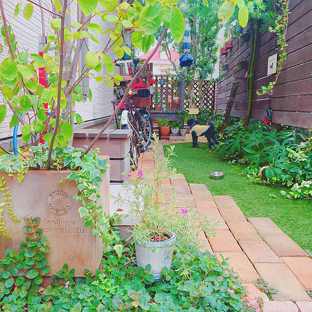 risaさんの実例写真