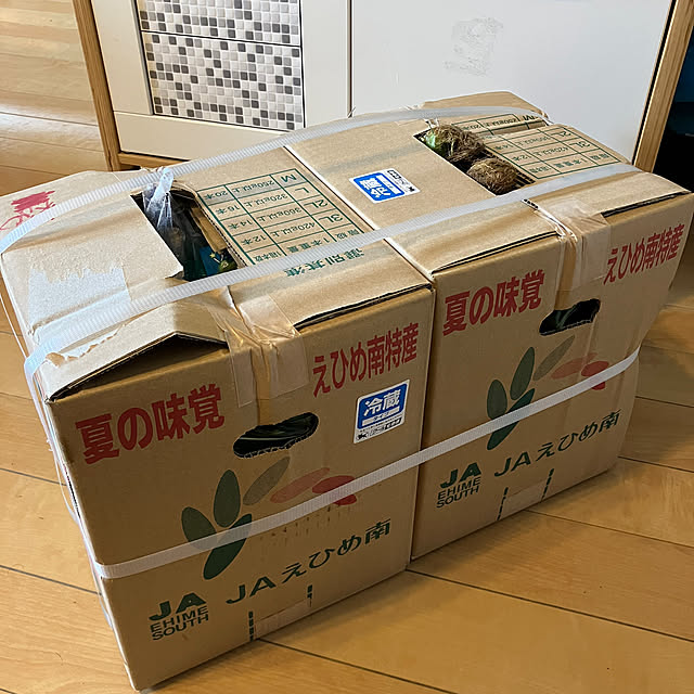 koshiregutyoさんの部屋