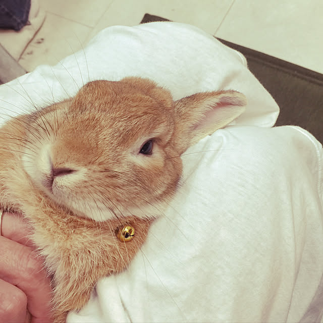 Eikoさんの実例写真