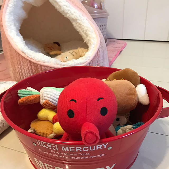 msさんの部屋