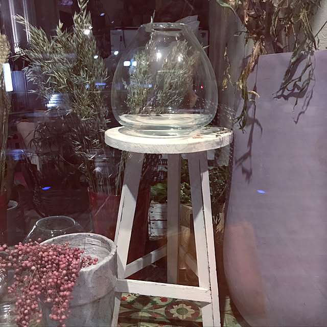 棚/観葉植物/ナチュラルのインテリア実例 - 2019-04-25 22:18:42