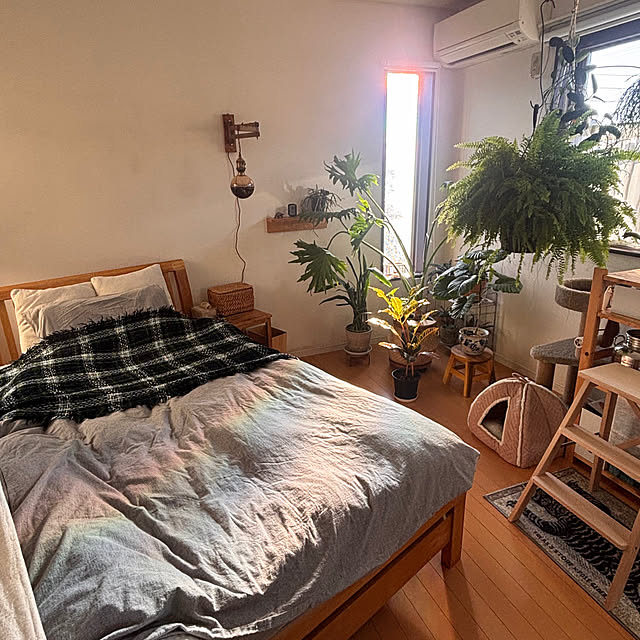 greycatsさんの実例写真