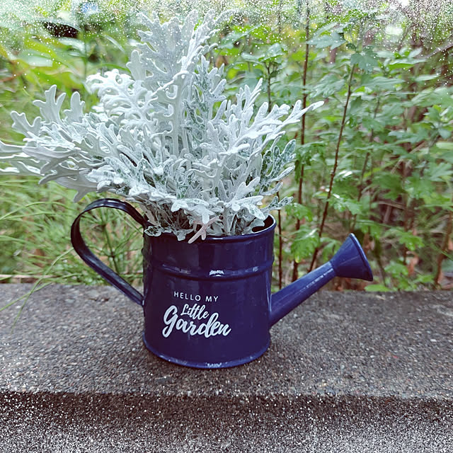 kiraさんの実例写真