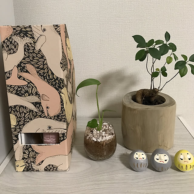 実例写真