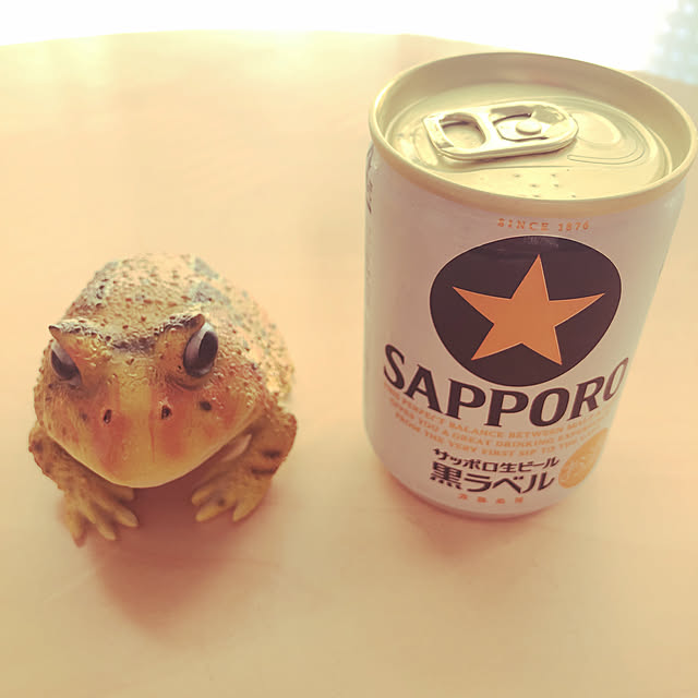 Sさんの実例写真