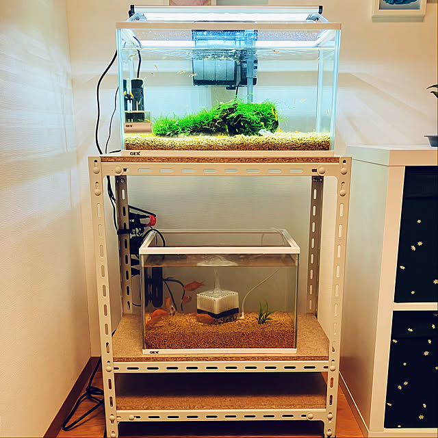 623さんの実例写真