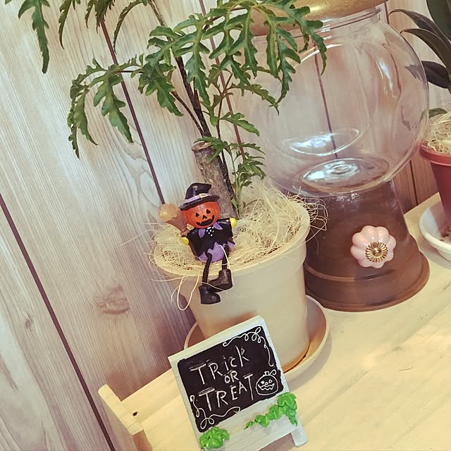 sapi56brrさんの実例写真