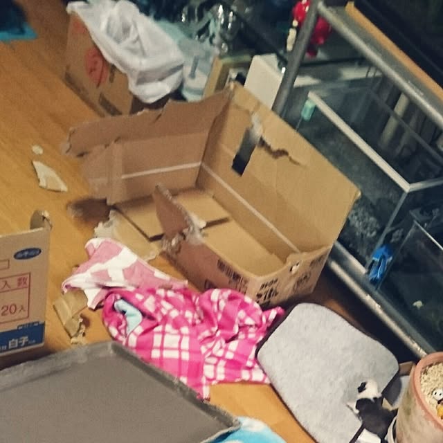 maiさんの実例写真