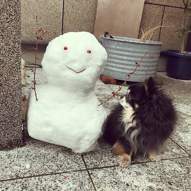 yukaさんの実例写真