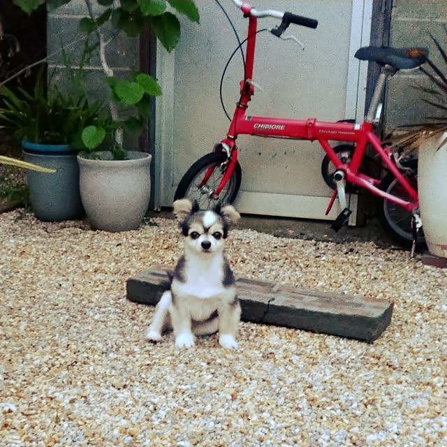 mizuさんの実例写真
