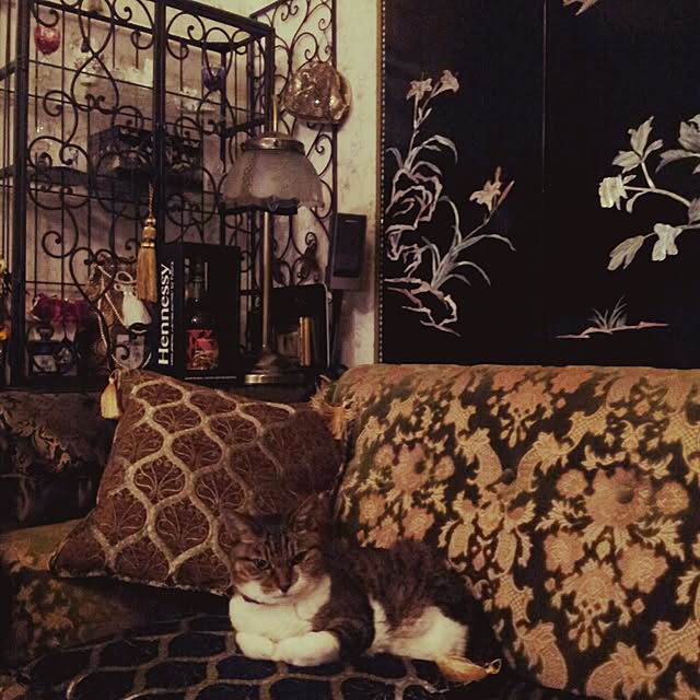 emmyyさんの実例写真