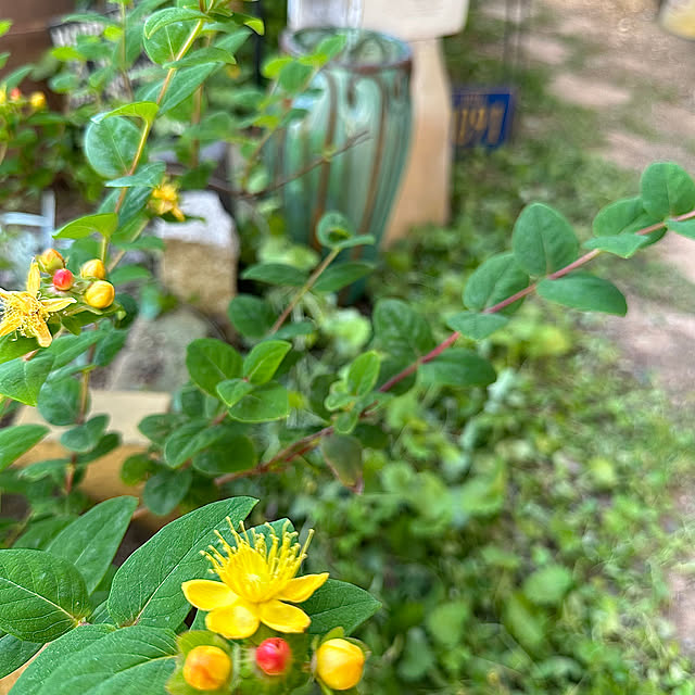 oyoさんの部屋