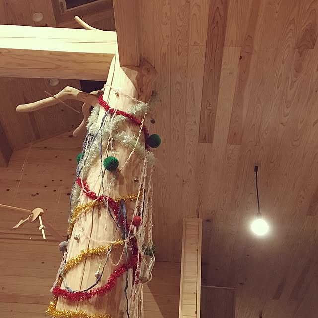 Kumiさんの実例写真