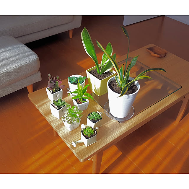 nyancoさんの実例写真