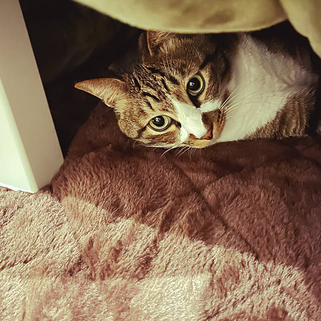 marinkarinさんの部屋