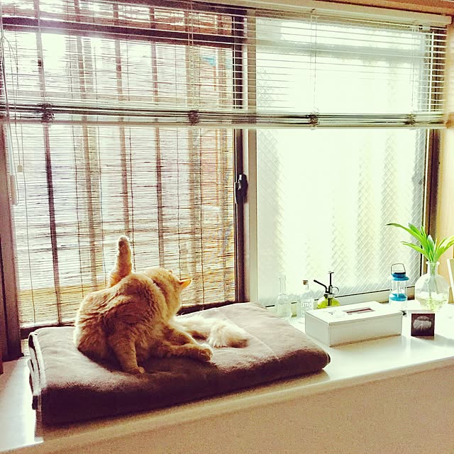 Ryokoさんの実例写真