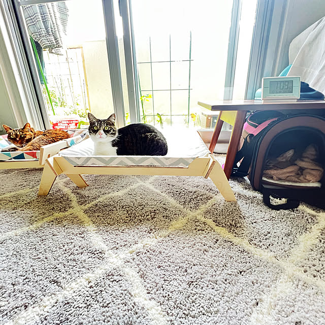 sumoanzuさんの実例写真
