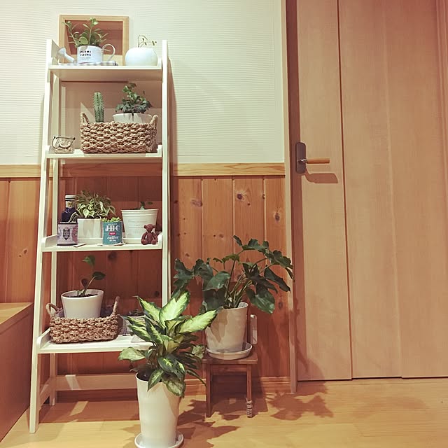 リビング/green/ダイソー/珪藻土/多肉植物...などのインテリア実例 - 2016-09-25 22:01:39