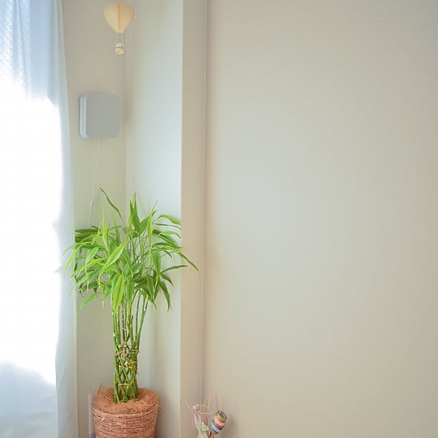 pinokoさんの実例写真