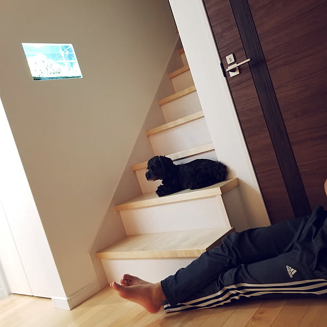 shimaaadsさんの実例写真