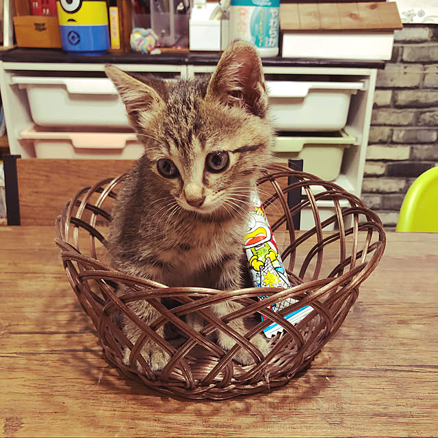 emiさんの実例写真