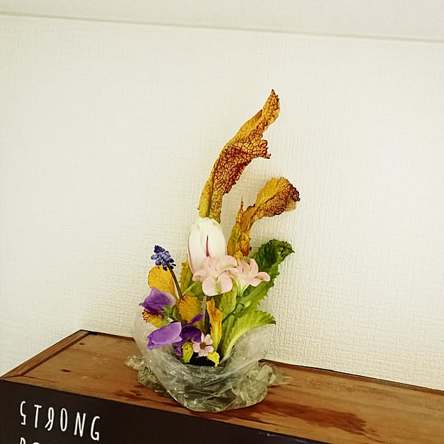 risaさんの実例写真